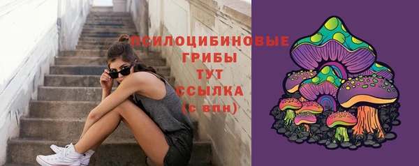 МДМА Краснослободск