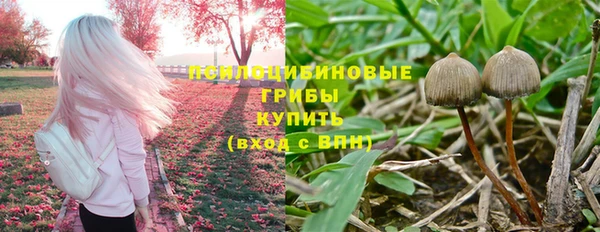 МДМА Краснослободск